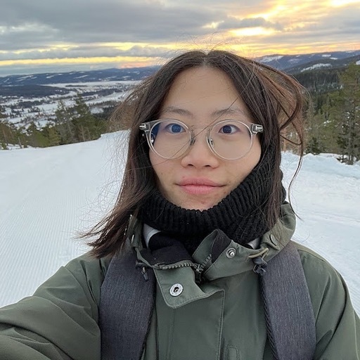 Florence 的 Maven 公开头像